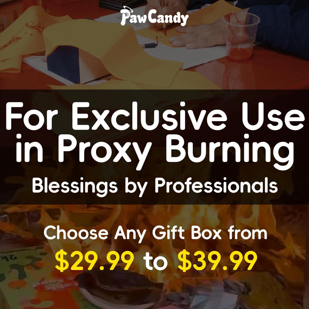 Proxy Burning Service for Paper Offerings (Post-Order) 1