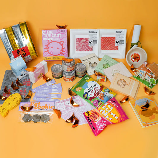 Traditional Chinese Rituals-Eco-Friendly Pet Memorial Joss Paper for Cats - Deluxe Taoism Ritual Kit