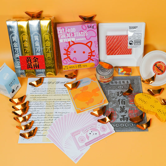 Traditional Chinese Rituals-Eco-Friendly Pet Memorial Joss Paper for Cats - Standard Taoism Ritual Kit