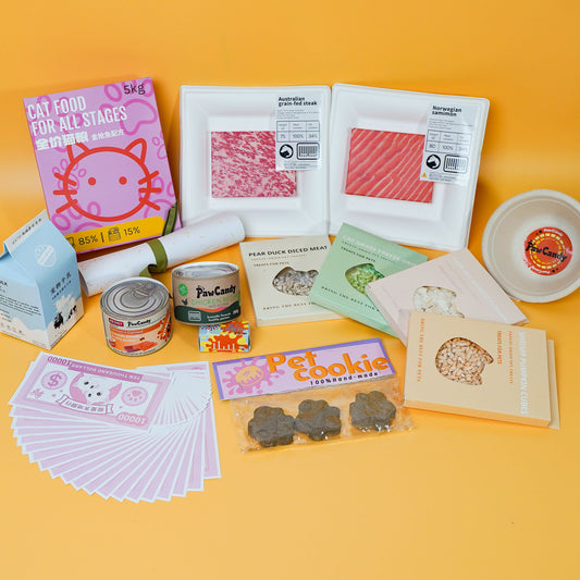 Eco-Friendly Pet Memorial Joss Paper for Cats - Premium Taoism Ritual Kit