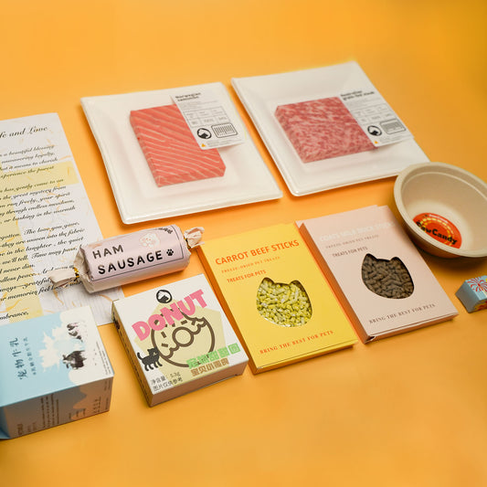 Eco-Friendly Pet Memorial Joss Paper for Carnivores - Basic Taoism Ritual Kit