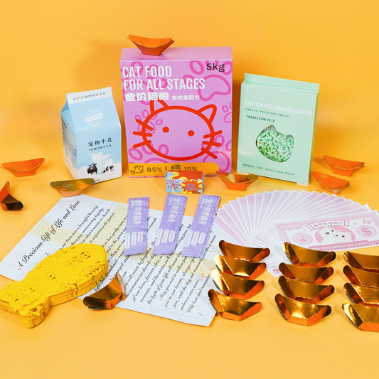Traditional Chinese Rituals-Eco-Friendly Pet Memorial Joss Paper for Cats - Basic Taoism Ritual Kit
